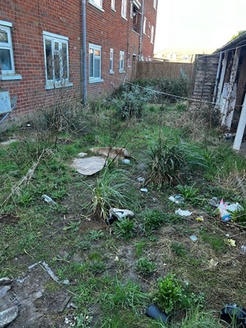 Before the clean up of Coronation House