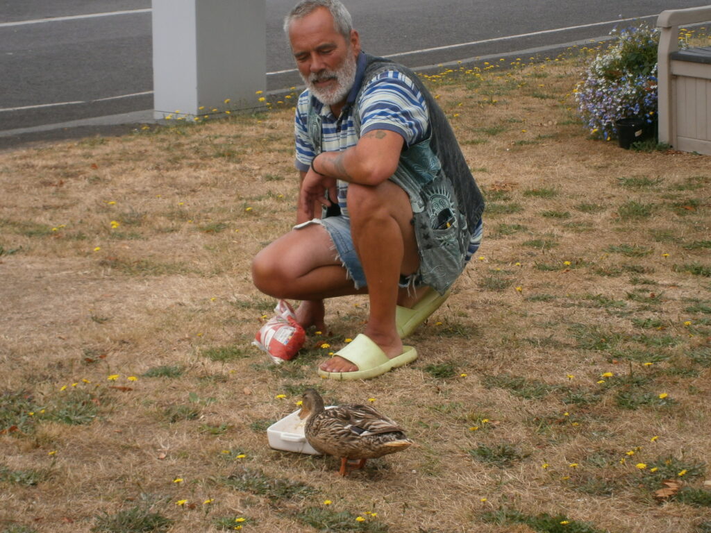 Picture of a duck eating out of a tub with a man kneeling behind it.