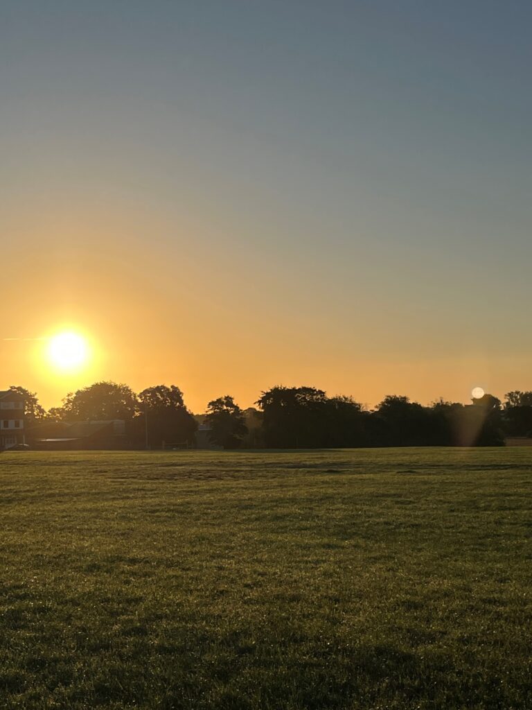 Picture of a field and a sunrise.